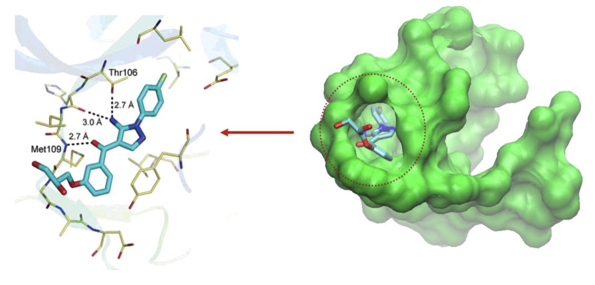 Ligand in protein binding pocket