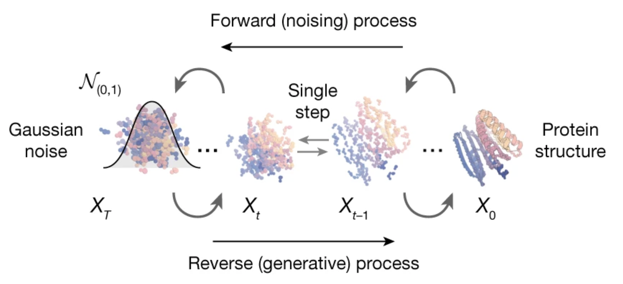 RFdiffusion forward and reverse diffusion process