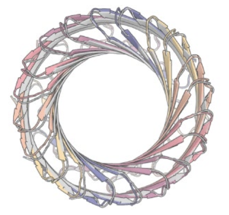 RFdiffusion generated protein structure